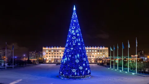 Уральская ель 25 м