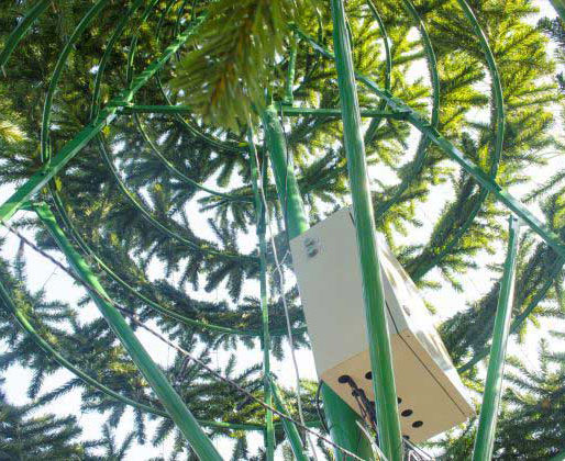 Каркасы для больших ёлок в Брянске